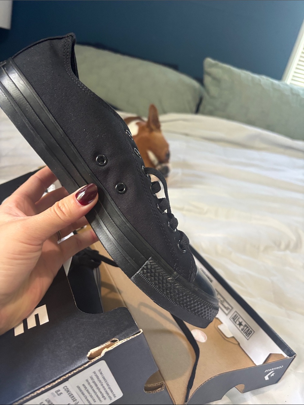 Converse | low top all black - Picture 2 of 5